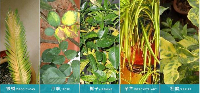 �]��ʹ�����၆�Fǰ�Ę���