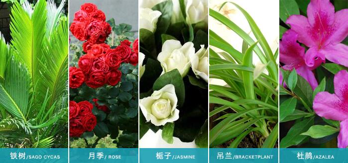 ֲ����ʹ���^���၆�F���Ч��