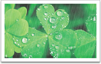 ����·�����ע�ⰲȫ��