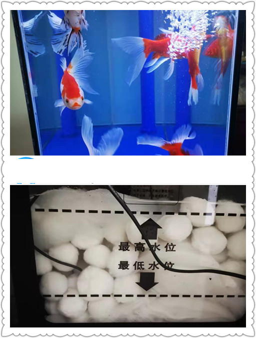 魚缸環(huán)保過濾纖維球——鞏義市清鵬水處理材料有限公司 魚缸環(huán)保過濾纖維球——鞏義市清鵬水處理材料有限公司